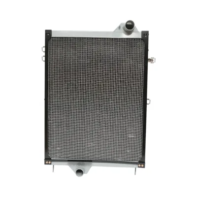 Radiatore raffreddamento acqua John Deere 1105 × 740 × 125 mm, codice OEM RE242256.