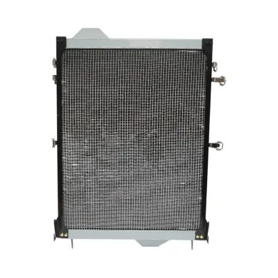 Radiatore raffreddamento acqua John Deere 1105 × 740 × 125 mm, codice OEM RE242256. - immagine 2