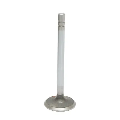 Valvola di aspirazione per John Deere codice OEM R79623, R52251, T20174