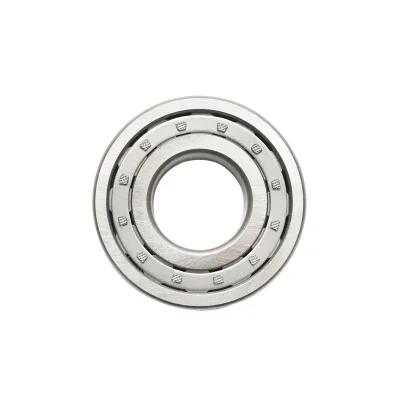 Cuscinetto trasmissione per Fiat, New Holland, Case IH codice OEM 5125376, 5138660 Breckner Germany - immagine 2