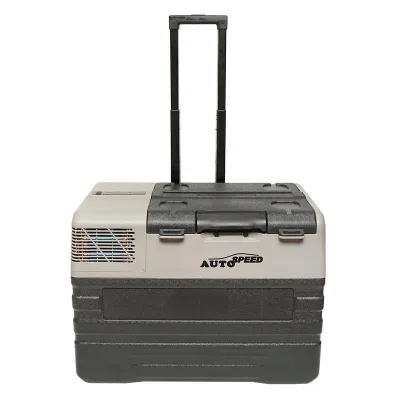 Frigorifero da auto con compressore e ruote tipo trolley 42L 12-24-220V 60W - immagine 3