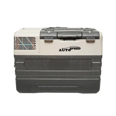 Frigorifero da auto con compressore e ruote tipo trolley 42L 12-24-220V 60W - immagine 2