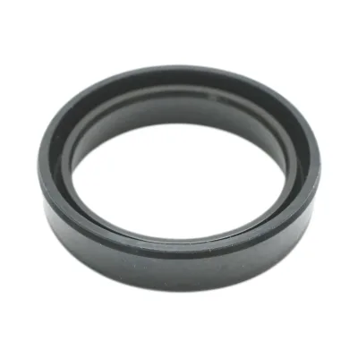 Guarnizione trasmissione Fiat, New Holland, Case IH 7x24x31mm codice OEM 4985295 - immagine 3