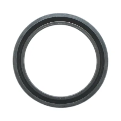 Guarnizione trasmissione Fiat, New Holland, Case IH 7x24x31mm codice OEM 4985295 - immagine 4