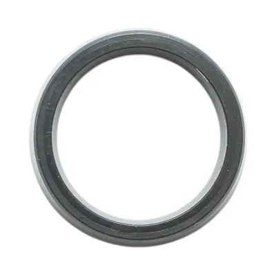 Guarnizione trasmissione Fiat, New Holland, Case IH 7x24x31mm codice OEM 4985295 - immagine 2