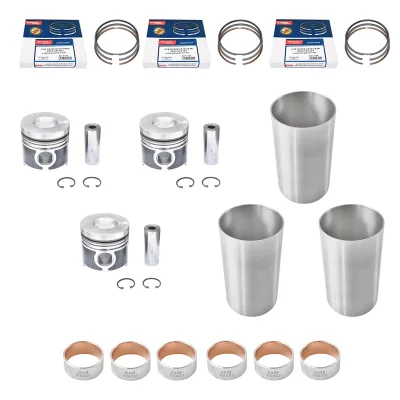 Kit motore completo con 3 pistoni Ø 102 mm per UTB U-483/U-445, Fiat, New Holland, Case IH e Massey Ferguson.