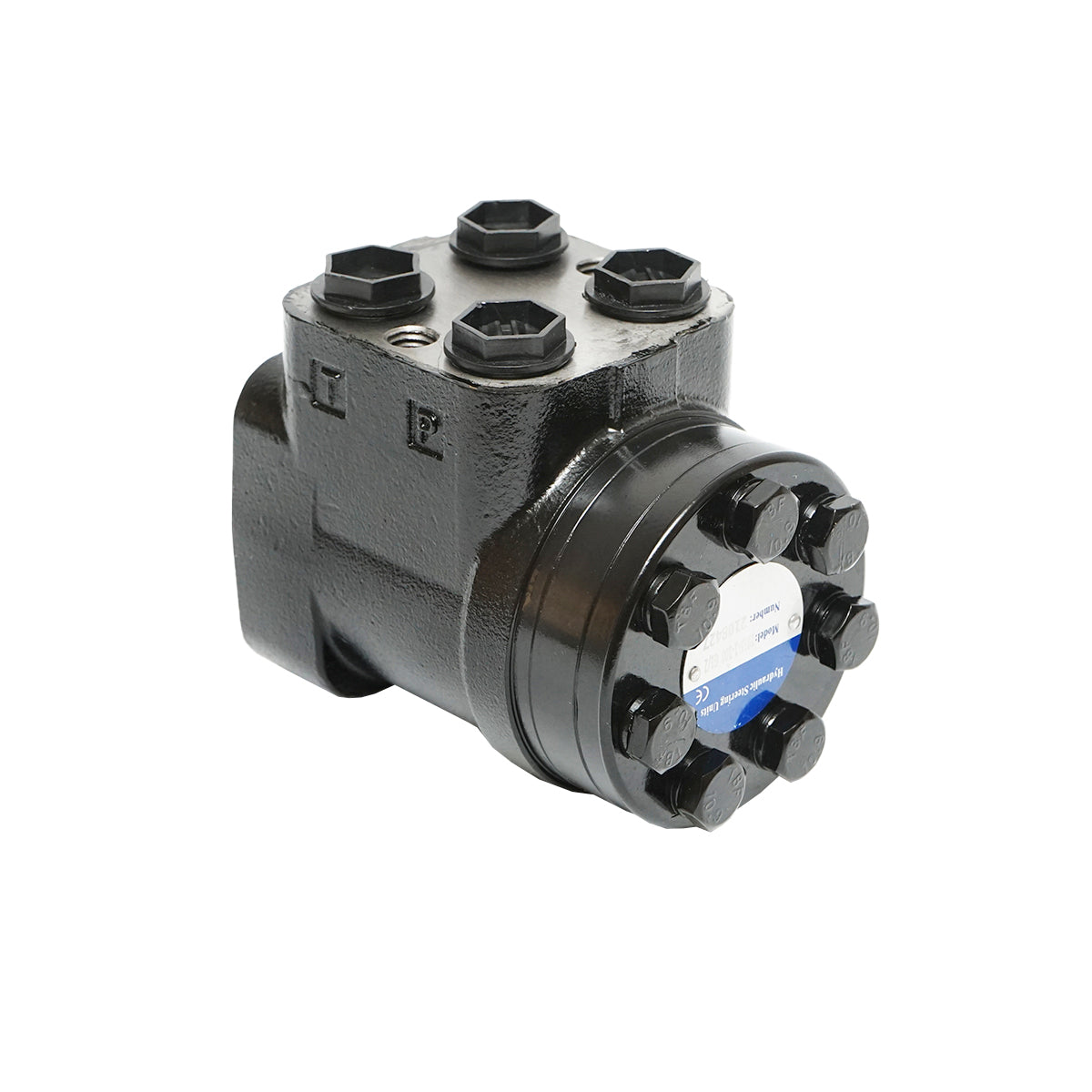 Pompa Danfoss OSPC 100 ON per Fiat, Case IH, Massey Ferguson, New Holland 5164616 - immagine 2