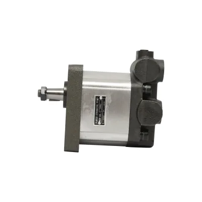 Pompa idraulica per Fiat OEM 0510525060, portata 14 cm3, senso di rotazione destro - immagine 2