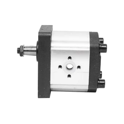 Pompa idraulica per FIAT, Case IH, guida a destra, codice OEM 1901322, 1930061, 5129481 Breckner Germany - immagine 2