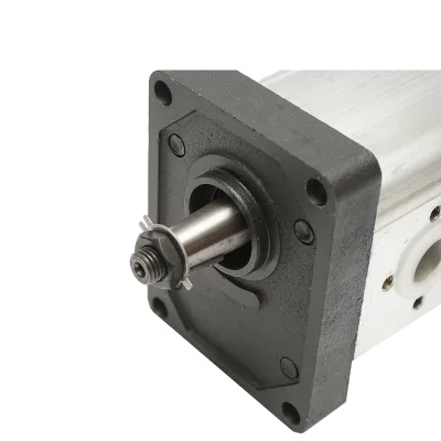 Pompa idraulica per Fiat, Ford, New Holland, Case IH codice OEM 0510525348, 8280127, 0510625356 Breckner Germany