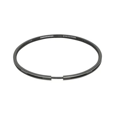 Segmenti motore , FIAT, fi 102mm 2,5x2,5x5mm, Breckner Germany - immagine 5
