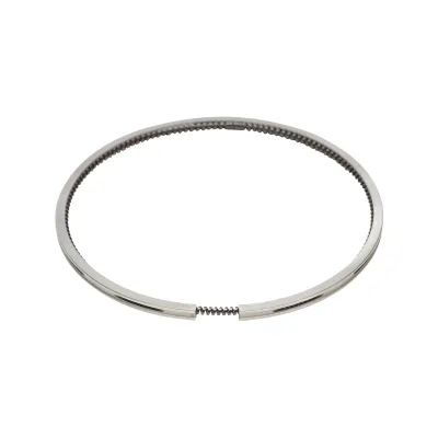 Segmenti per Fiat, New Holland codice OEM 1902050, 82982153, 1930169, 1908738 Breckner Germany - immagine 2