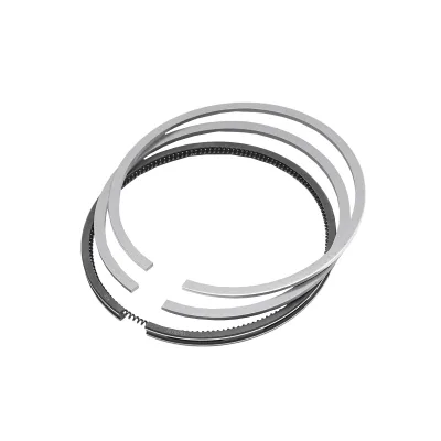 Segmenti pistone Ø 100 mm, 2.5 × 2.5 × 5.5 mm, per Fiat e Iveco. Codice 1909172 - immagine 3