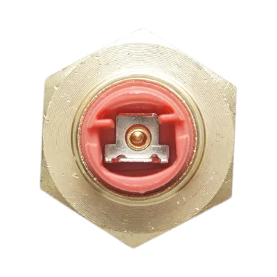 Sensore di temperatura dell'acqua per Fiat, Ford, New Holland, codice OEM 4178363, 5108205 - immagine 2