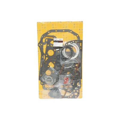 Set guarnizioni motore per John Deere codice OEM RE501578, AR79921, AR97187, AR97190, AT28425, RE16912, RE37492, RE38853 - immagine 2