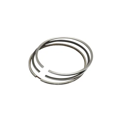 Set segmenti pistone per Fiat con motore Iveco 8365.25. Codici OEM: 1902408, 1930234, 1930753, 23/34-264 - immagine 3