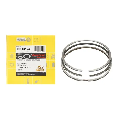Set segmenti pistone per Fiat con motore Iveco 8365.25. Codici OEM: 1902408, 1930234, 1930753, 23/34-264