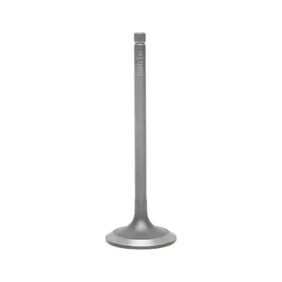 Valvola di aspirazione per John Deere codice OEM R98062, R515093, R530602 Breckner Germany