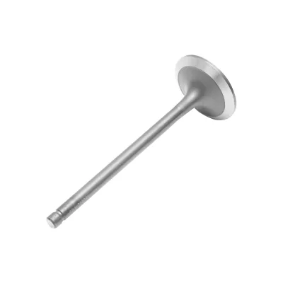 Valvola di aspirazione per John Deere codice OEM R98062, R515093, R530602 Breckner Germany - immagine 2
